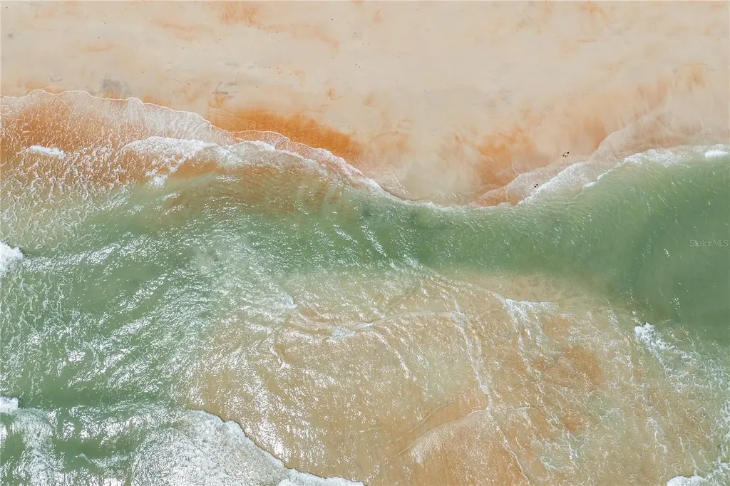 1513 Ocean Shore Boulevard Ormond Beach FL 32176
