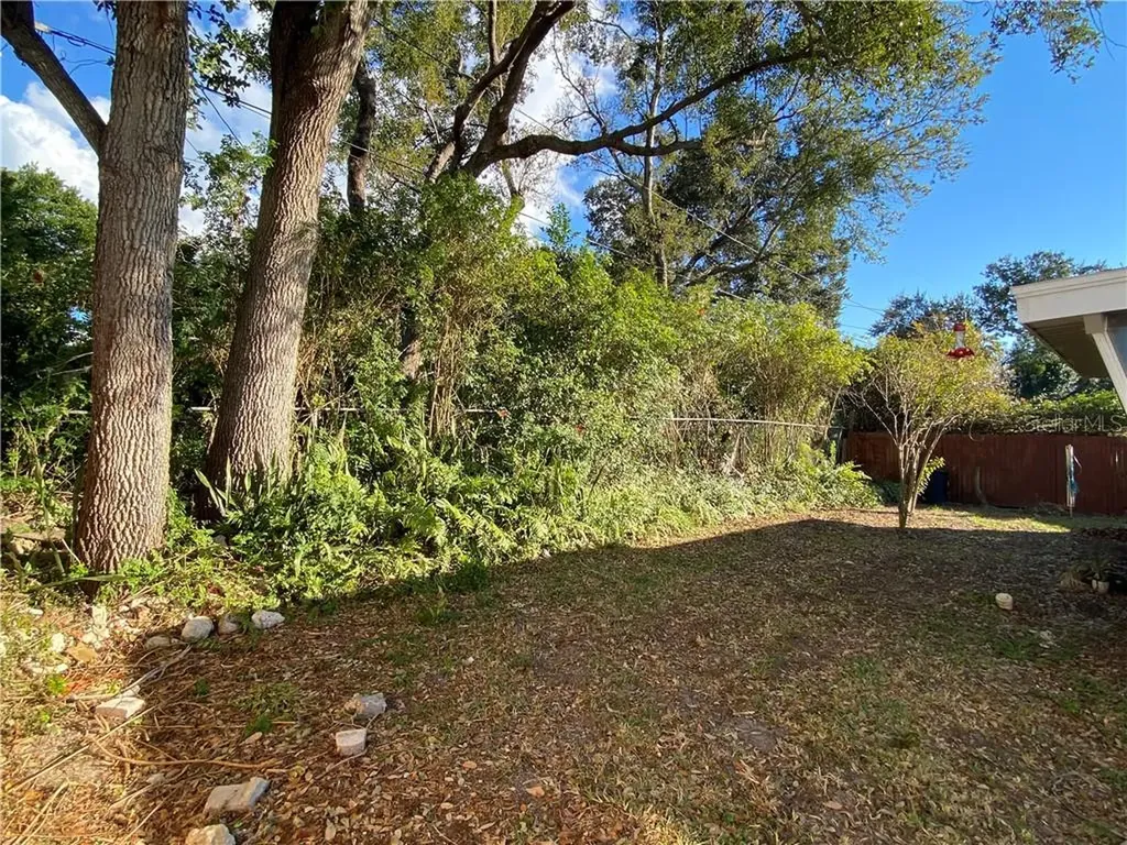 3612 Springfield Drive Holiday FL 34691