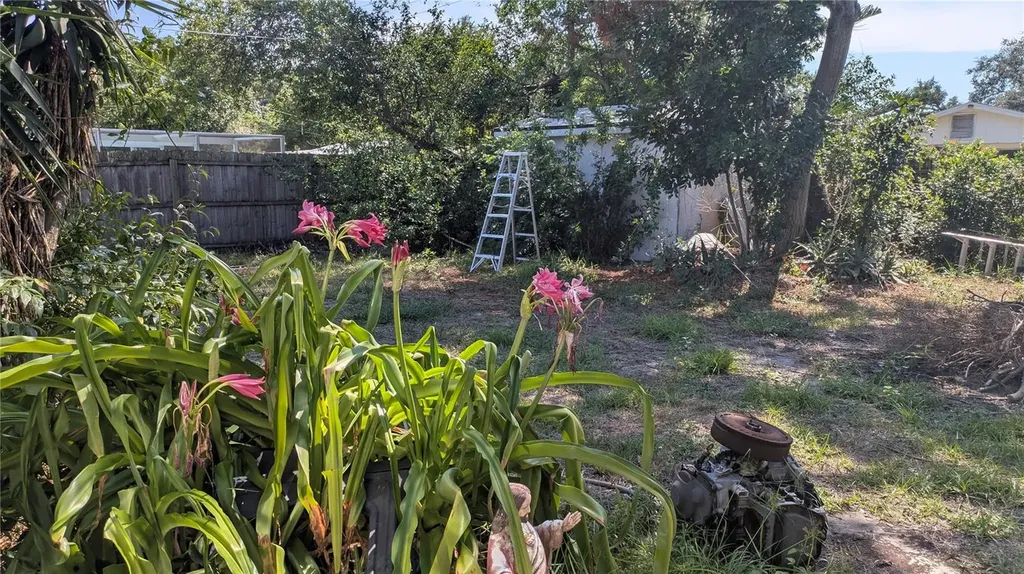 1839 Grand Boulevard Holiday FL 34690