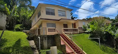53 Aquilino Carr. 430, Bo. Ovejas Anasco PR 00610