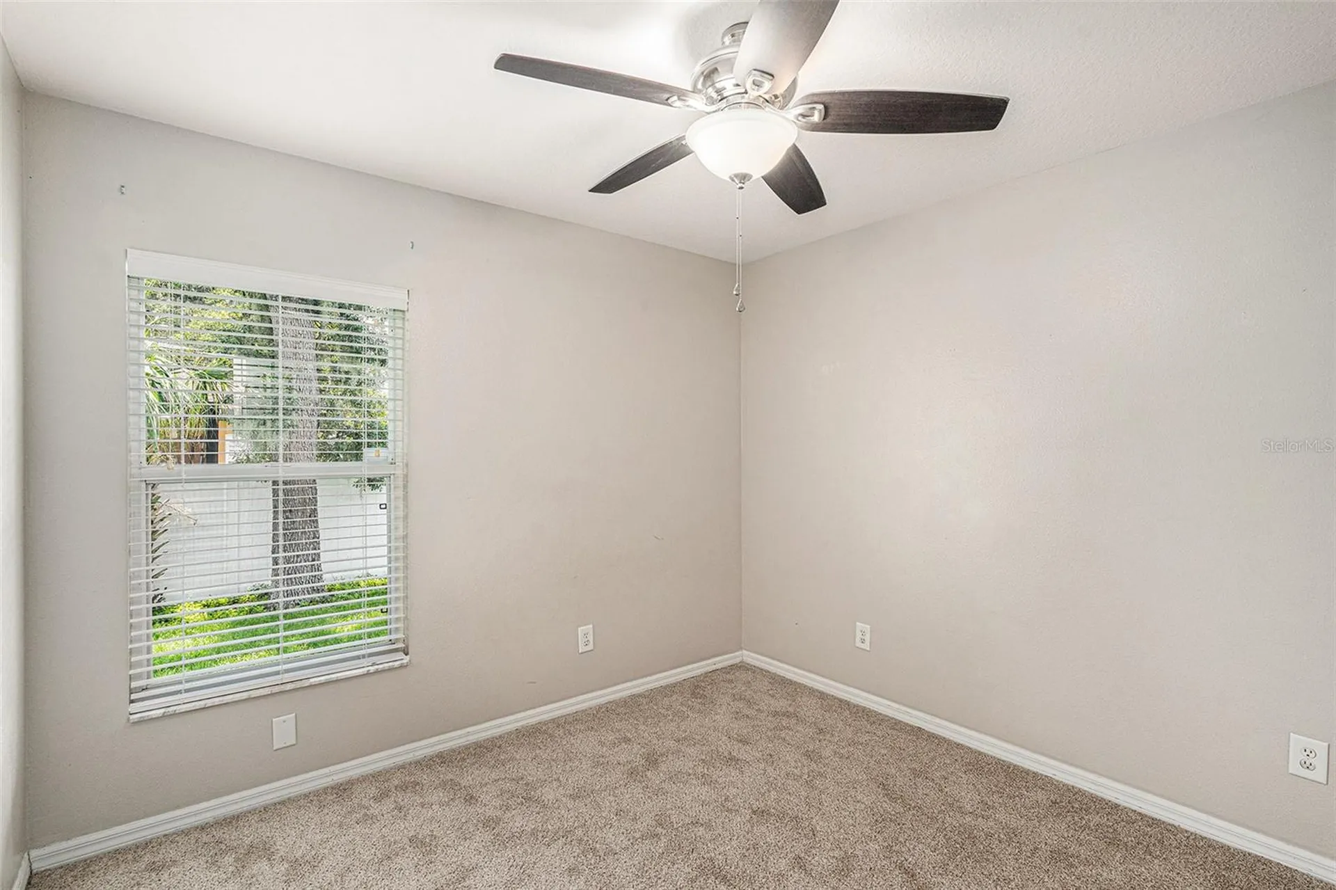 2631 Allwood Avenue Valrico FL 33596