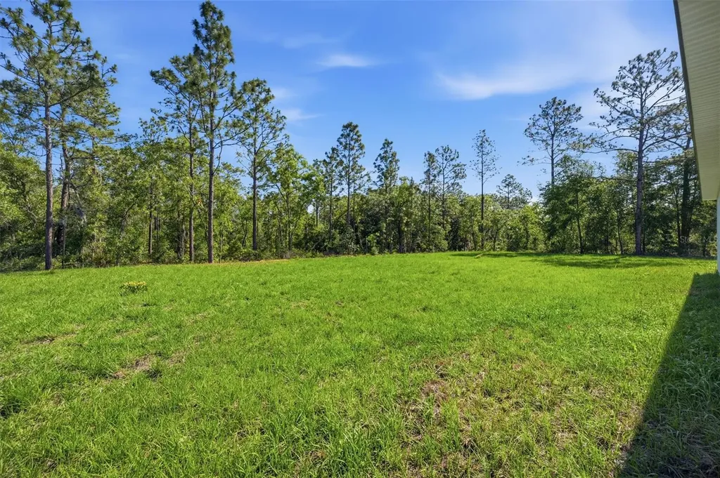 12989 SW 64th Lane Ocala FL 34481