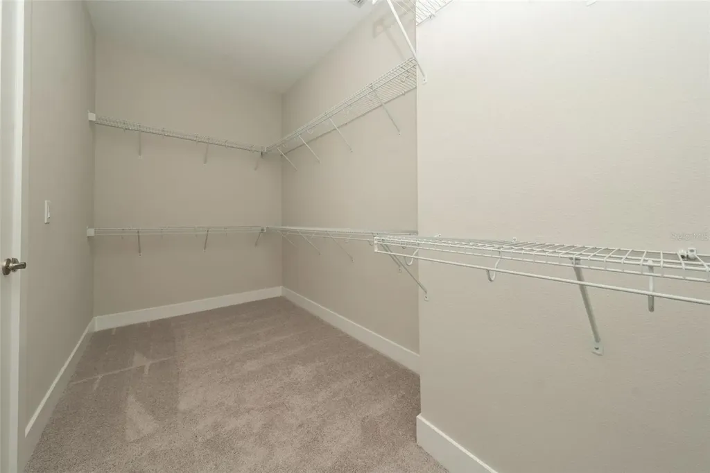 8178 Ivy Stark Boulevard Wesley Chapel FL 33545