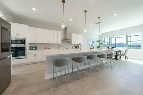 8178 Ivy Stark Boulevard Wesley Chapel FL 33545