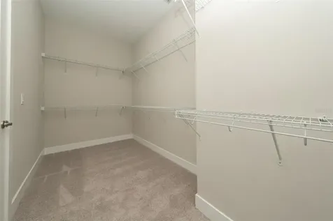 8178 Ivy Stark Boulevard Wesley Chapel FL 33545