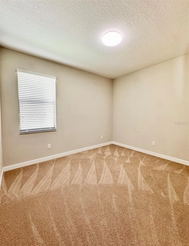14023 Tropical Kingbird Way Riverview FL 33579