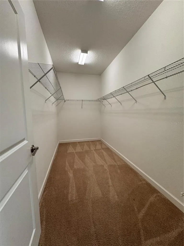 14023 Tropical Kingbird Way Riverview FL 33579