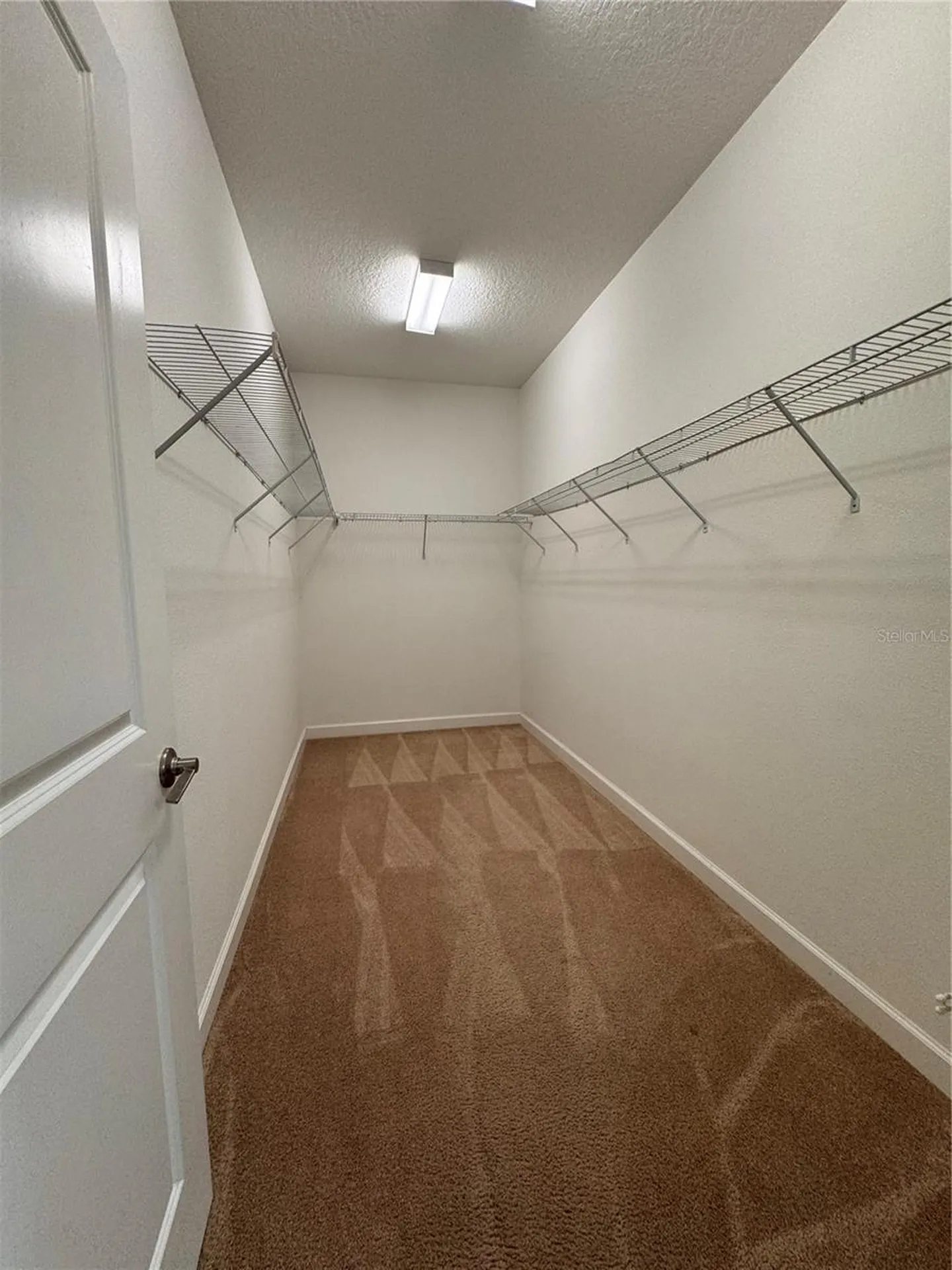 14023 Tropical Kingbird Way Riverview FL 33579