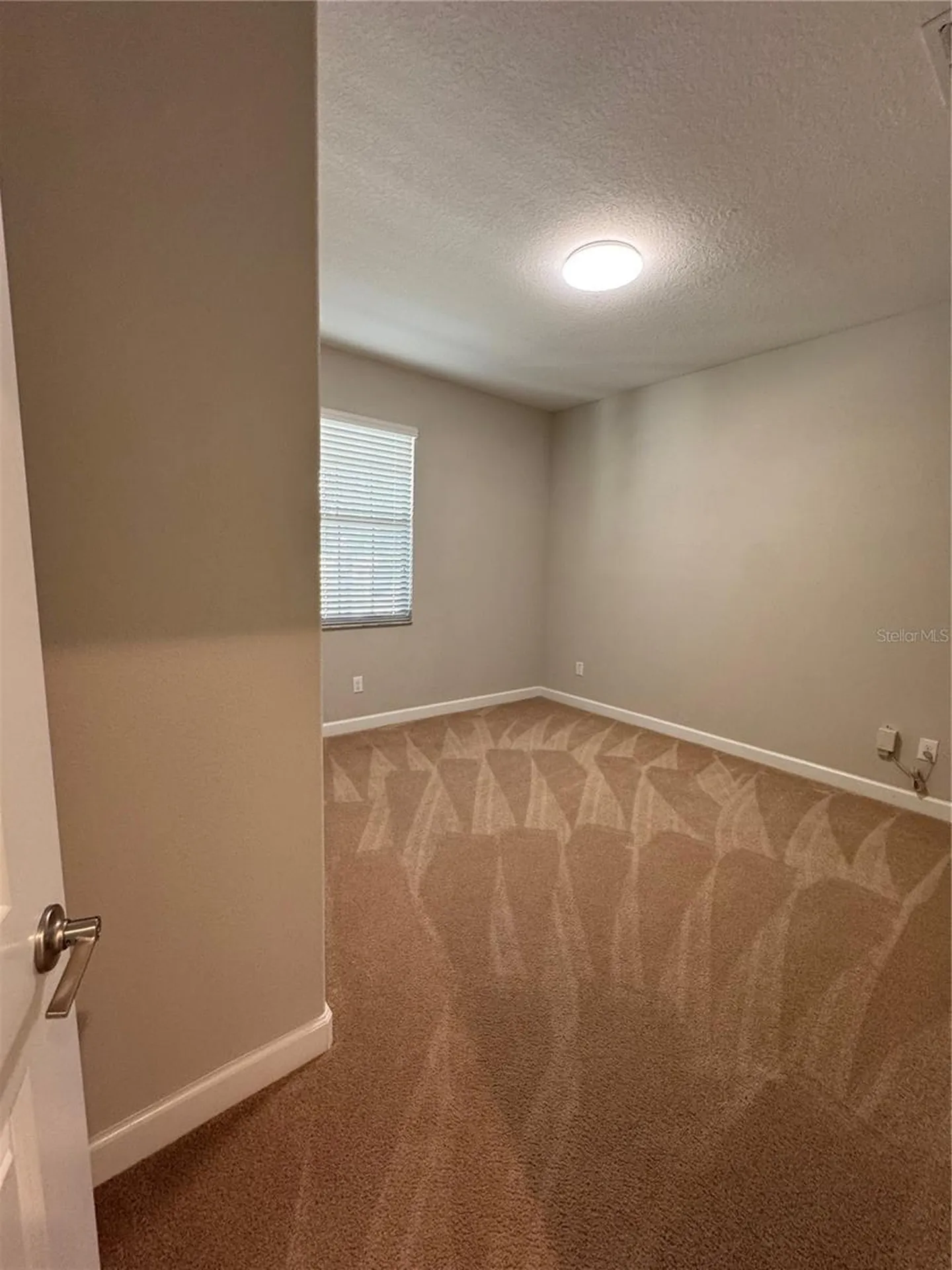 14023 Tropical Kingbird Way Riverview FL 33579