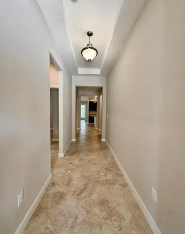 14023 Tropical Kingbird Way Riverview FL 33579