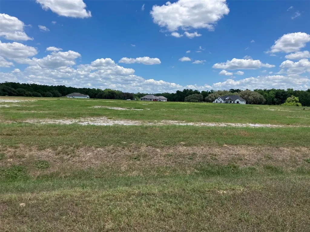38402 Wooded Meadow Drive Umatilla FL 32784
