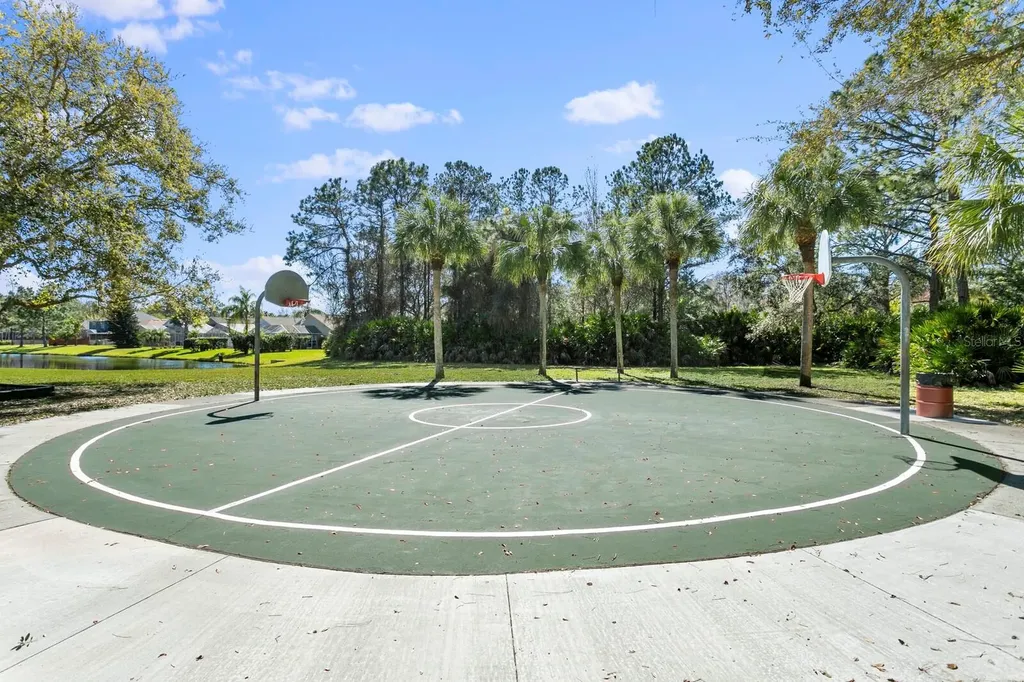 14316 Sky Flower Lane Tampa FL 33626