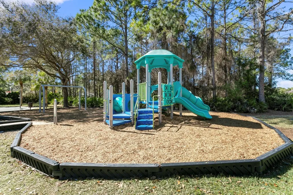 14316 Sky Flower Lane Tampa FL 33626