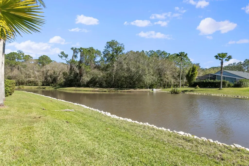 14316 Sky Flower Lane Tampa FL 33626