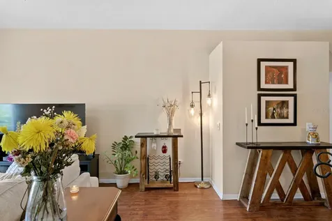 14316 Sky Flower Lane Tampa FL 33626