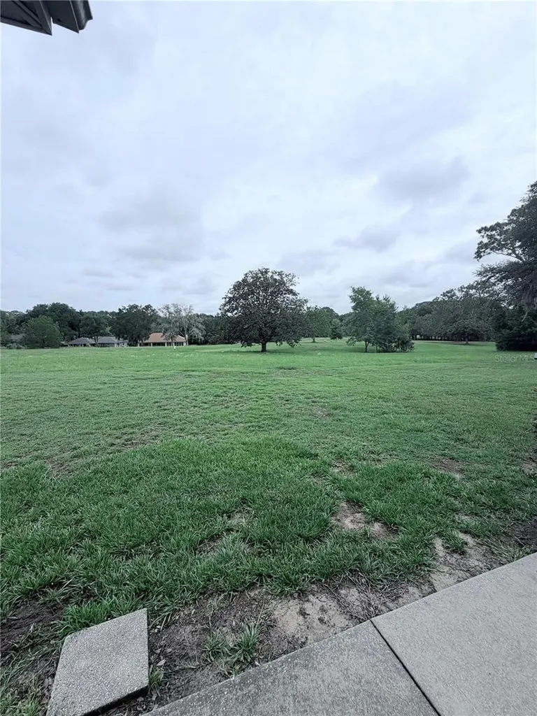 9092 SW 192nd Court Road Dunnellon FL 34432