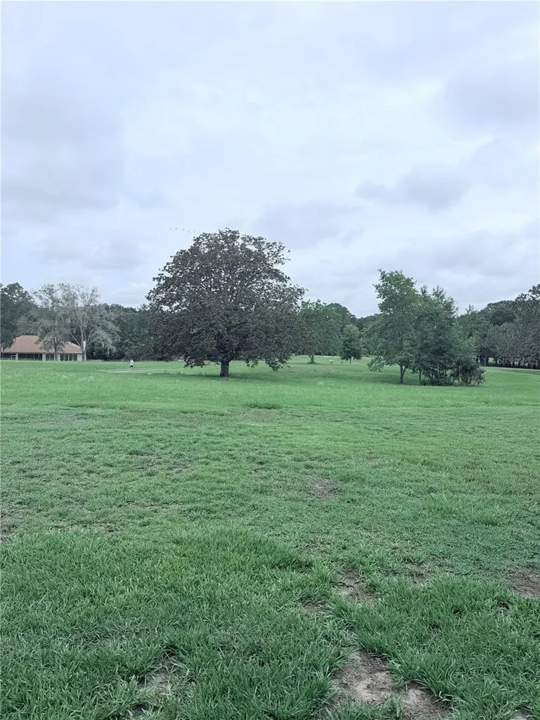 9092 SW 192nd Court Road Dunnellon FL 34432