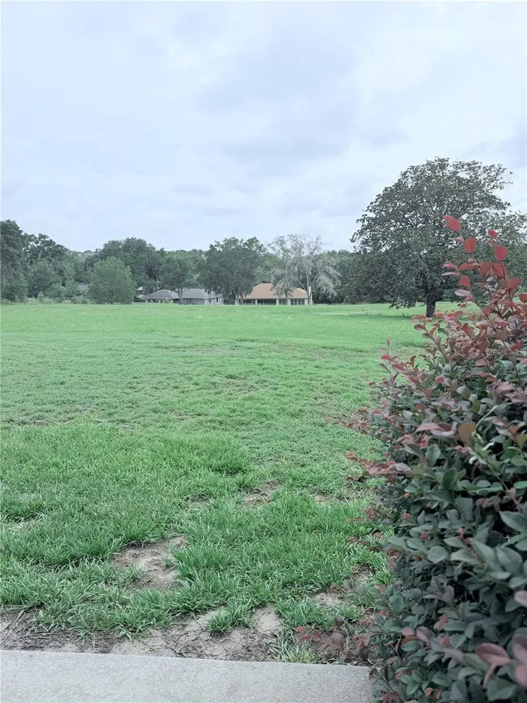 9092 SW 192nd Court Road Dunnellon FL 34432
