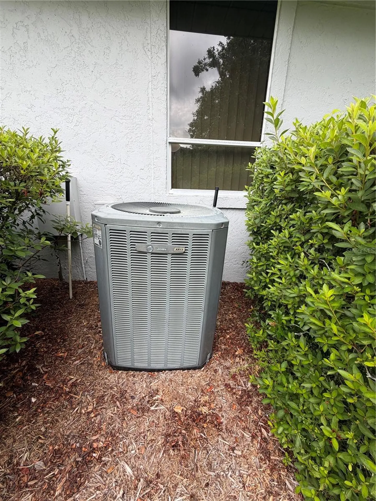 9092 SW 192nd Court Road Dunnellon FL 34432