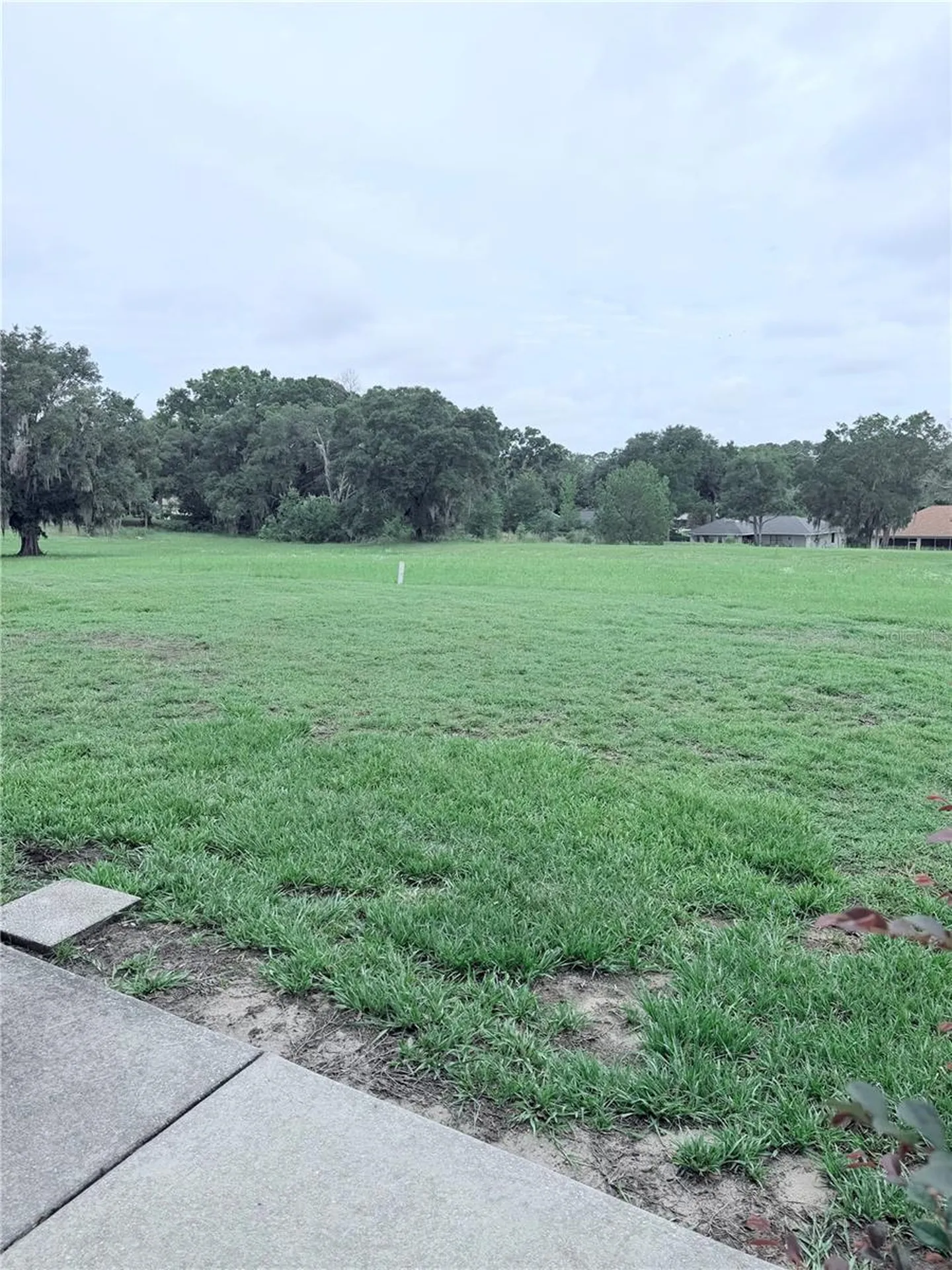 9092 SW 192nd Court Road Dunnellon FL 34432