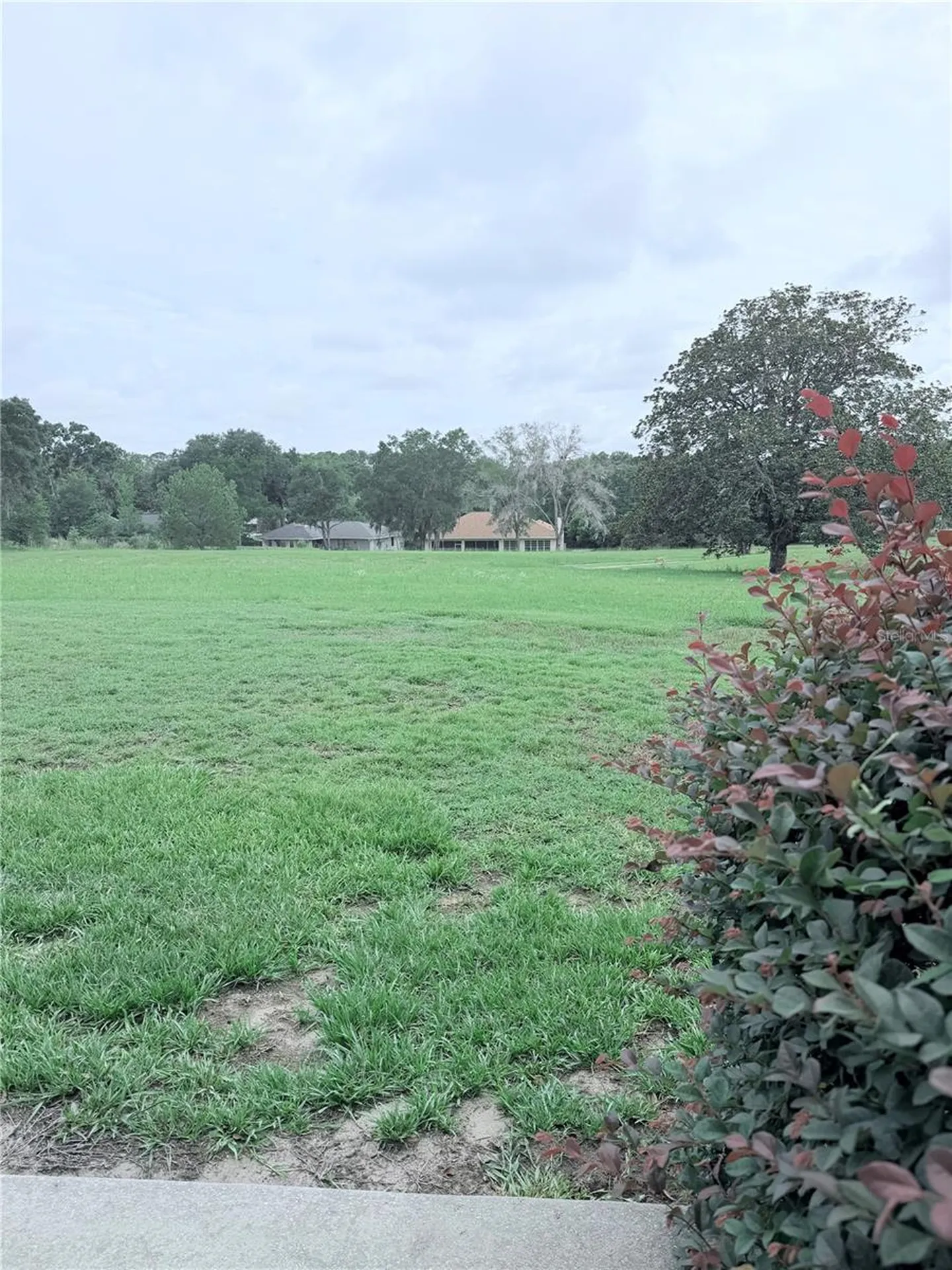 9092 SW 192nd Court Road Dunnellon FL 34432