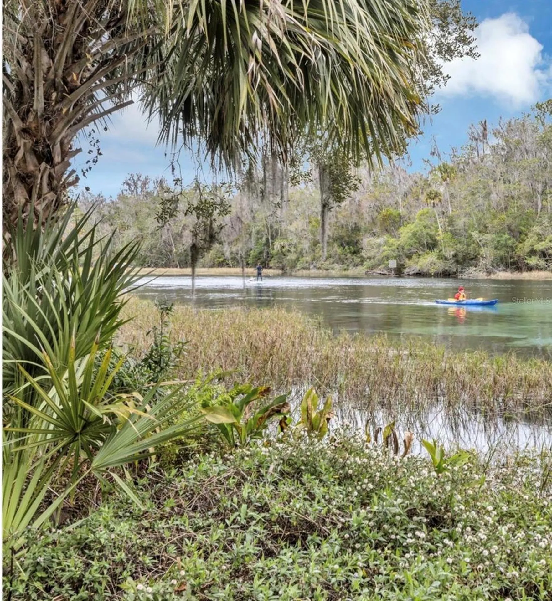 9092 SW 192nd Court Road Dunnellon FL 34432
