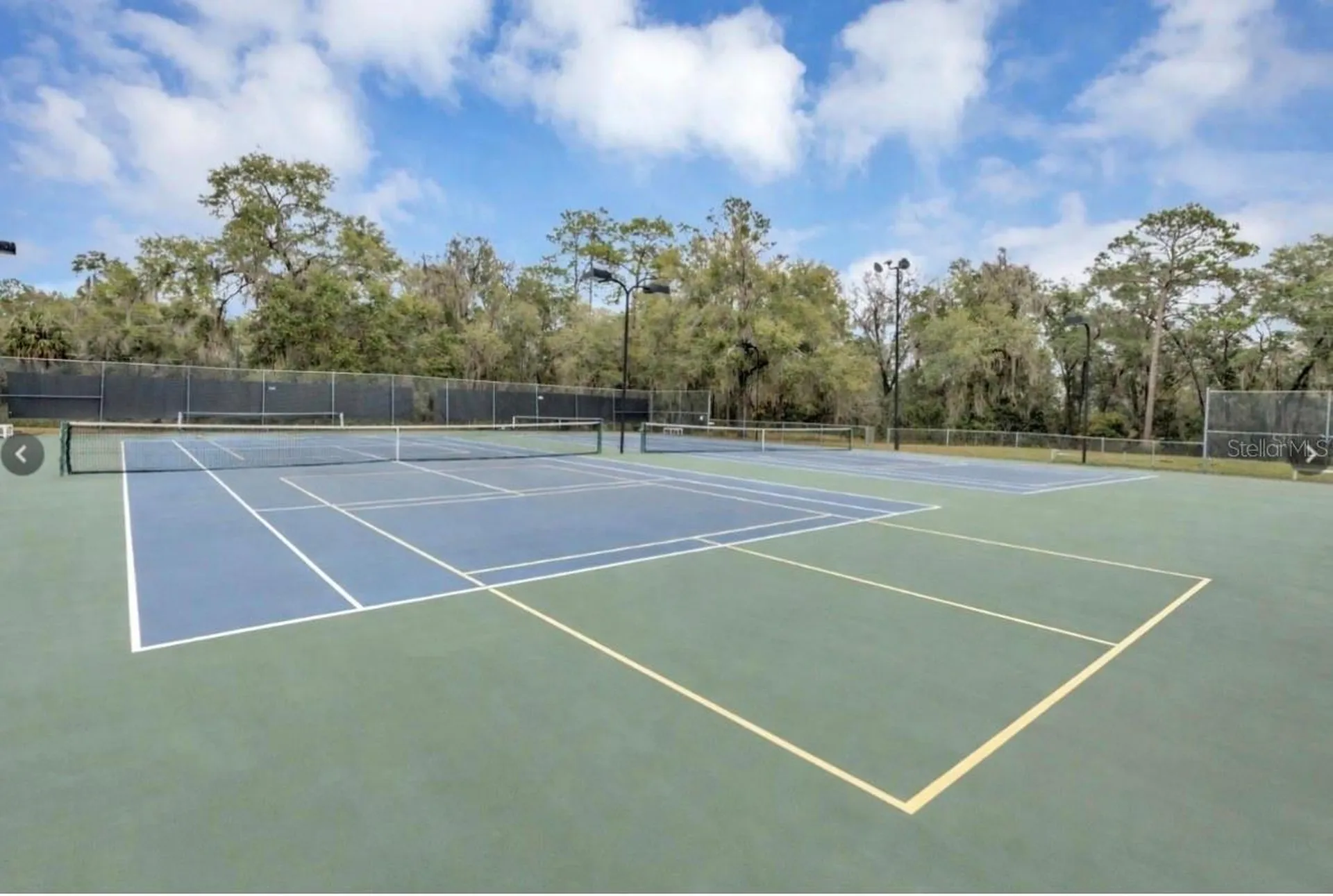 9092 SW 192nd Court Road Dunnellon FL 34432