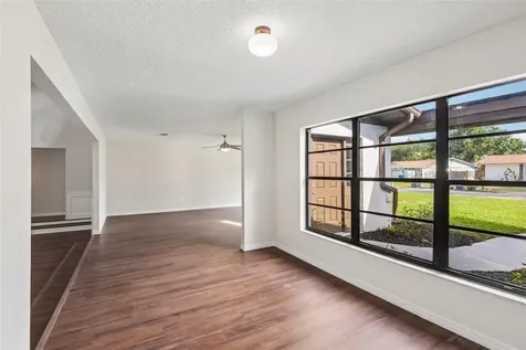 4545 Debbie Lane Lutz FL 33559
