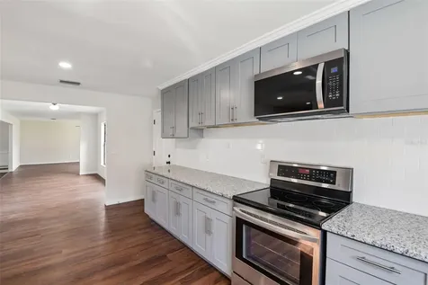 4545 Debbie Lane Lutz FL 33559