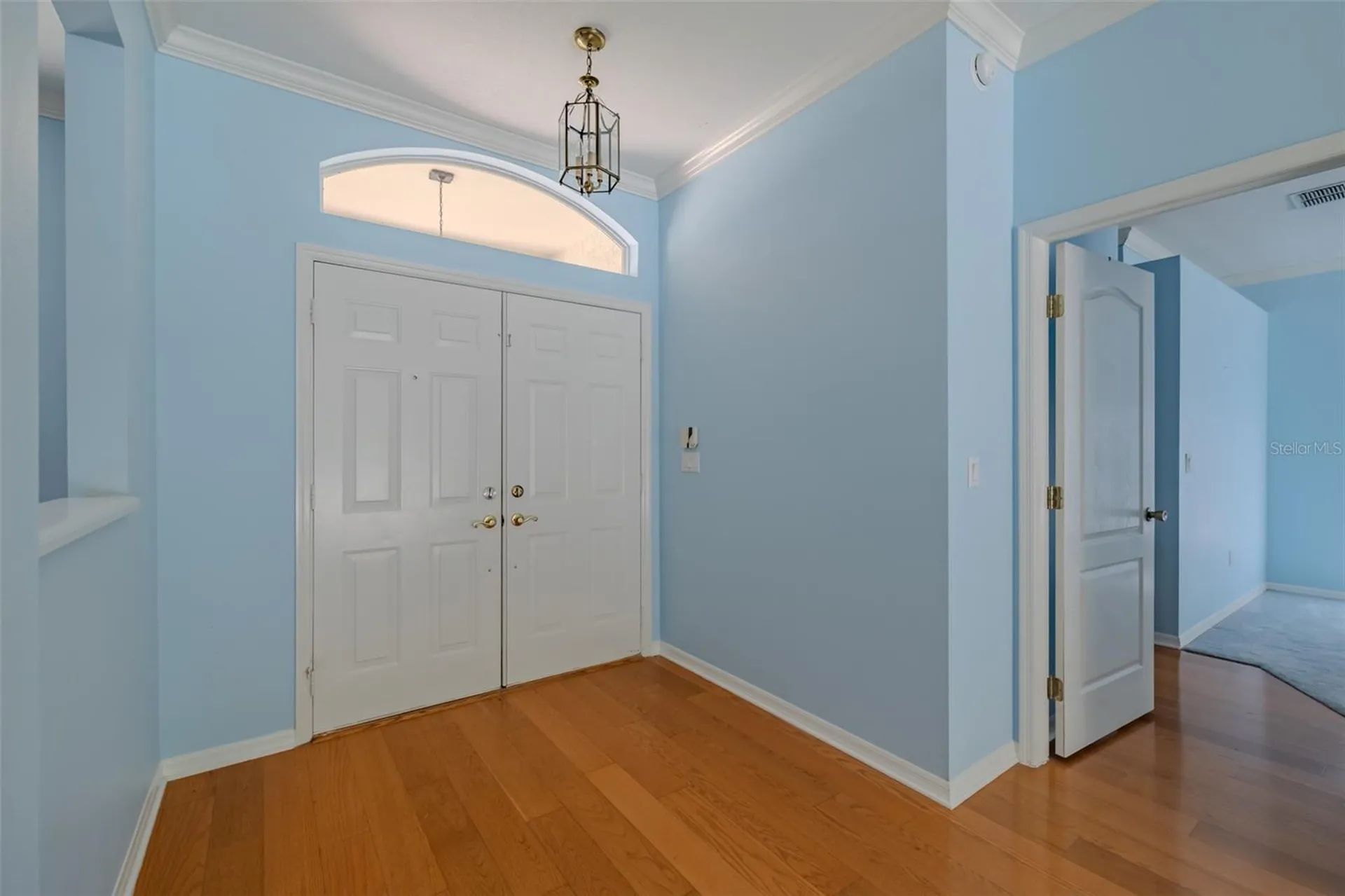 507 Surrey Lane Lutz FL 33549