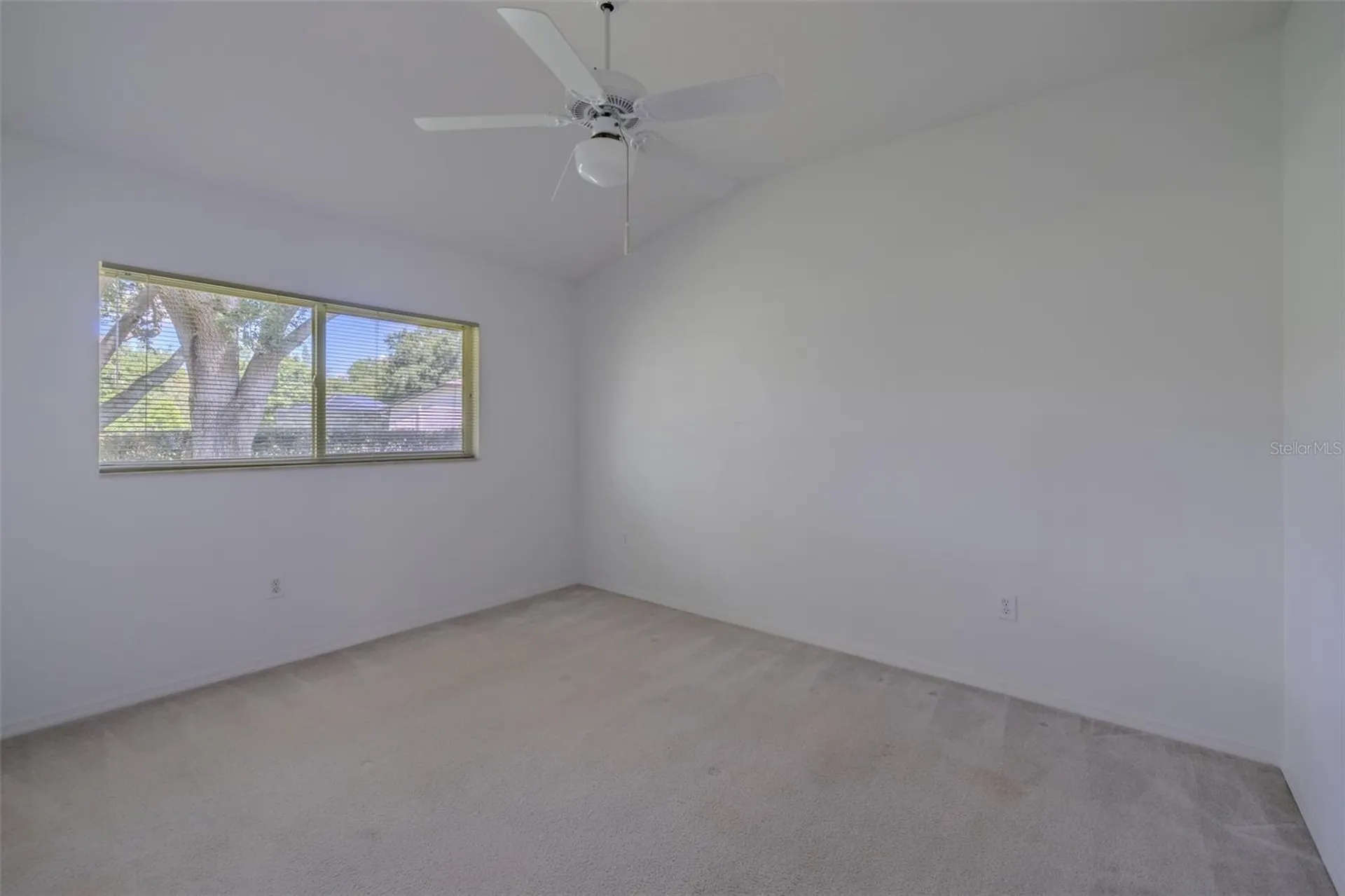 507 Surrey Lane Lutz FL 33549