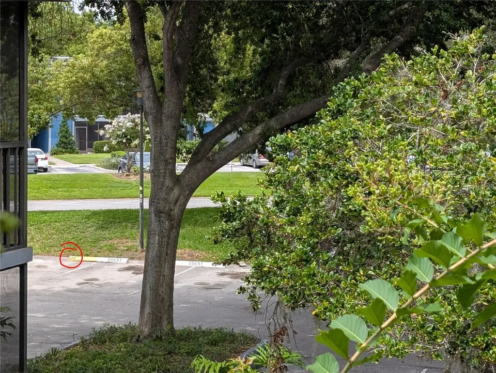 2439 Oak Park Way Orlando FL 32822