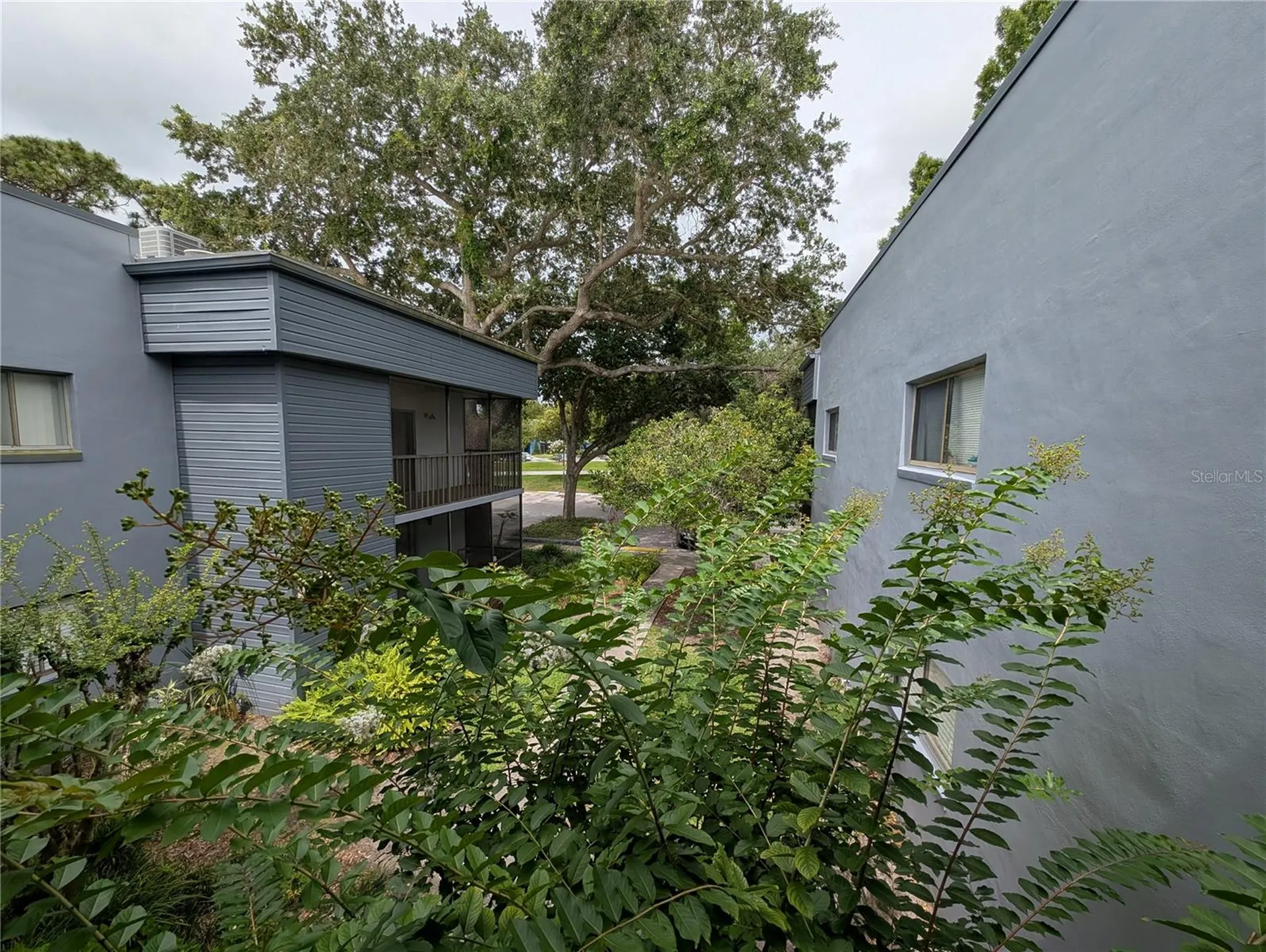 2439 Oak Park Way Orlando FL 32822