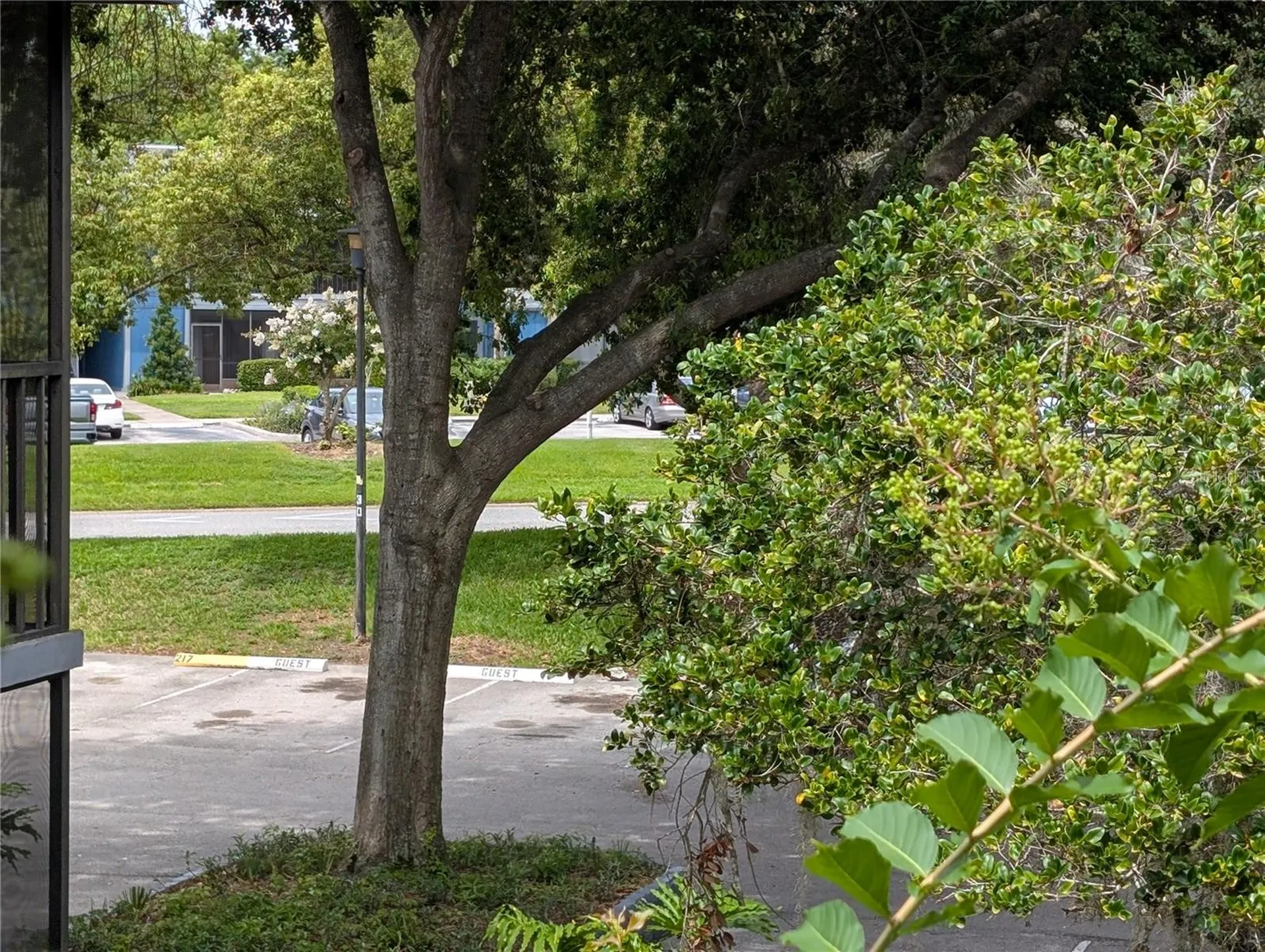 2439 Oak Park Way Orlando FL 32822