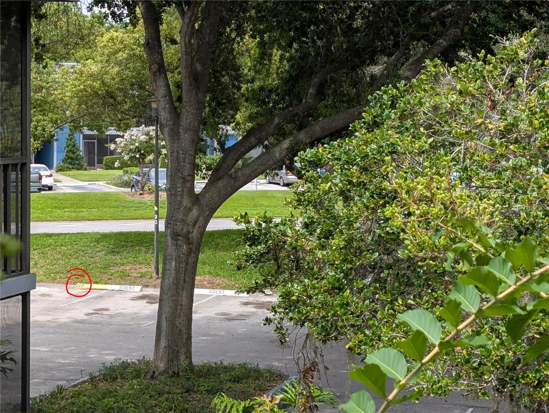 2439 Oak Park Way Orlando FL 32822