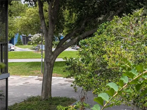 2439 Oak Park Way Orlando FL 32822
