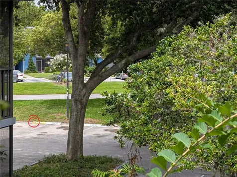 2439 Oak Park Way Orlando FL 32822