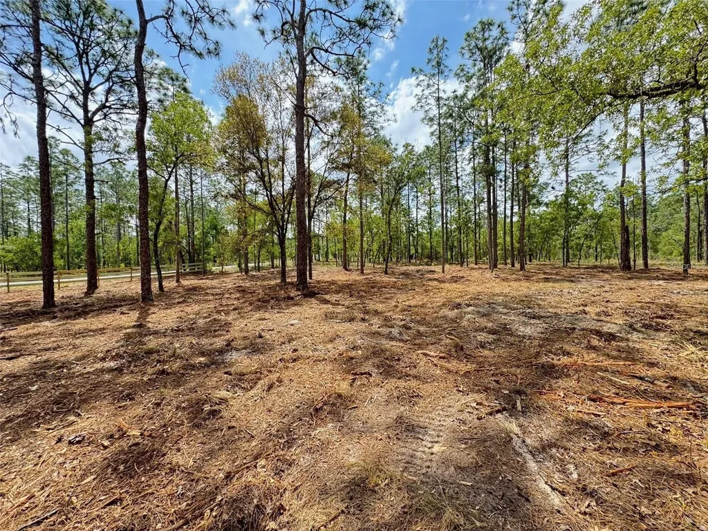 SW Deerpark Heights Road Dunnellon FL 34431