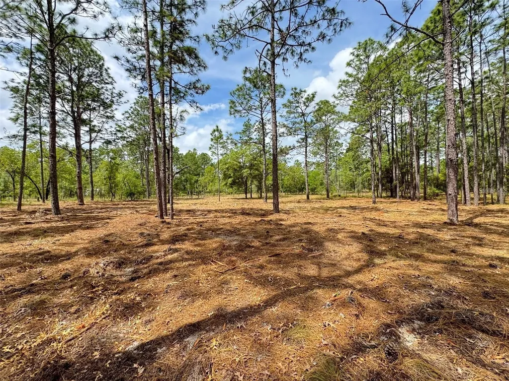SW Deerpark Heights Road Dunnellon FL 34431
