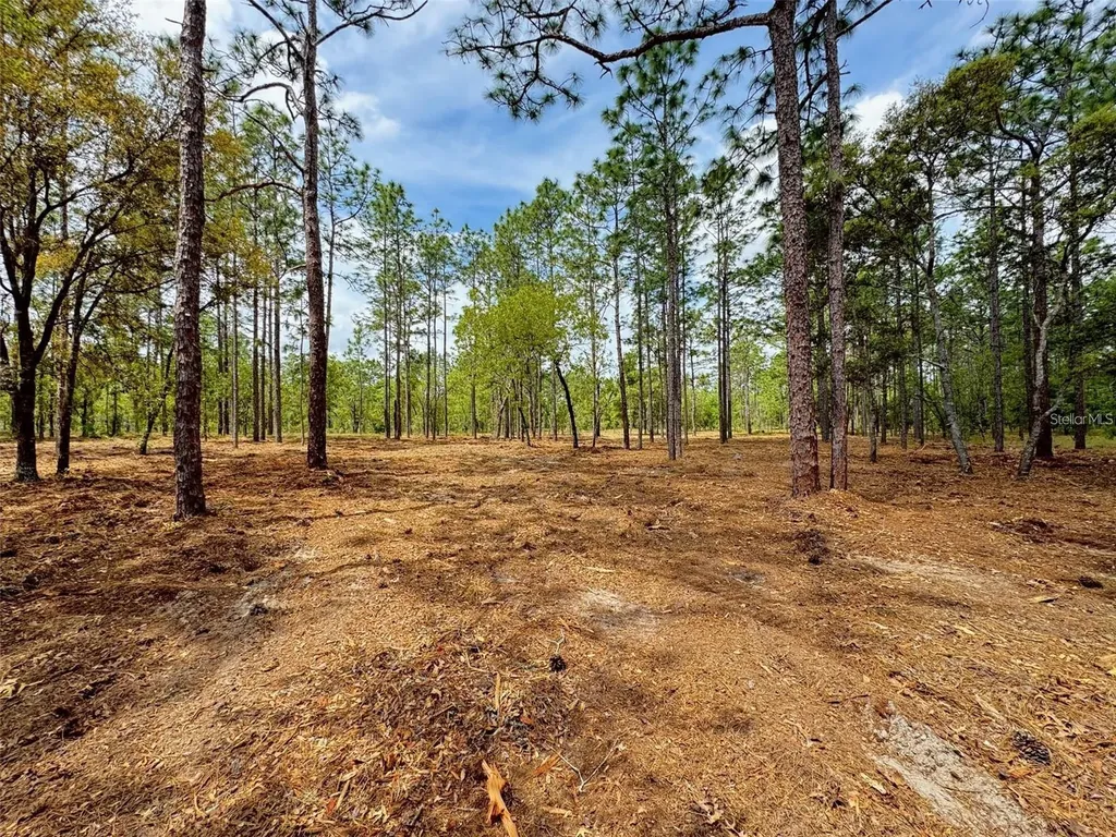 SW Deerpark Heights Road Dunnellon FL 34431