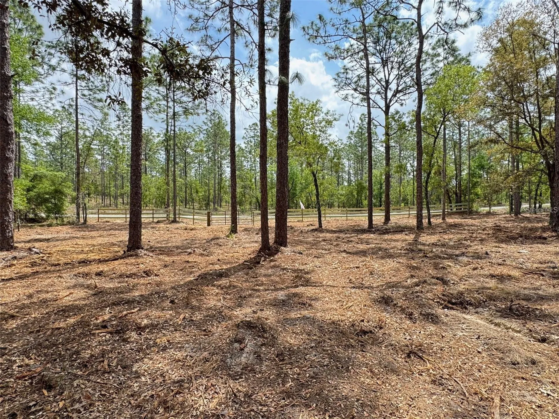 SW Deerpark Heights Road Dunnellon FL 34431