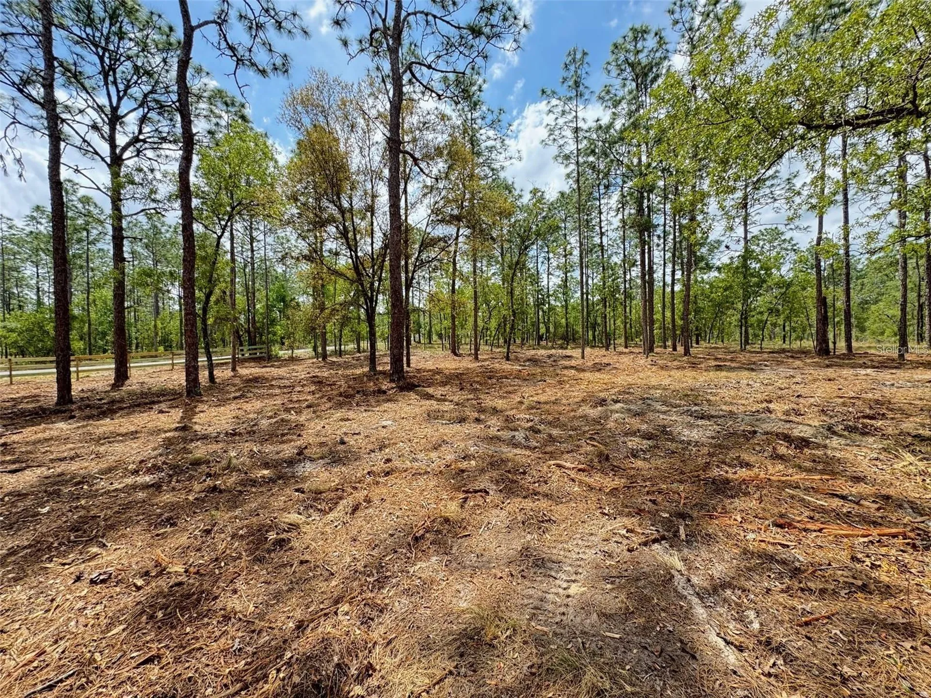 SW Deerpark Heights Road Dunnellon FL 34431
