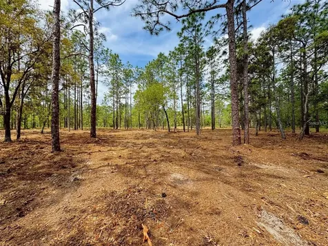 SW Deerpark Heights Road Dunnellon FL 34431