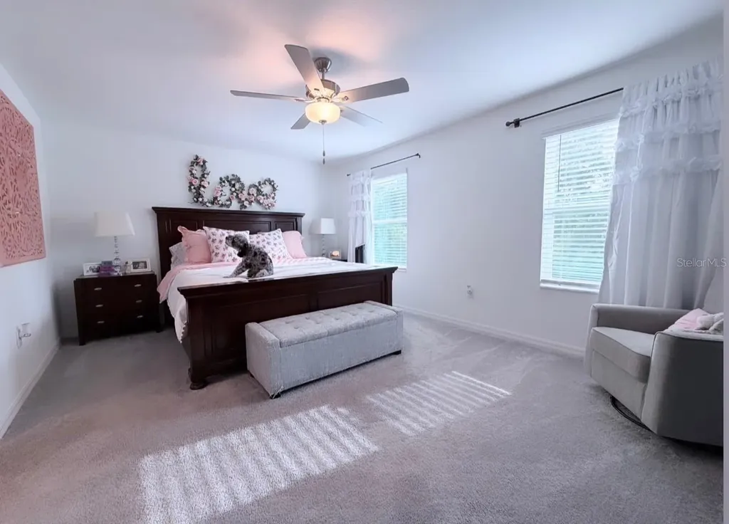 6047 Acara Lane Land O Lakes FL 34638