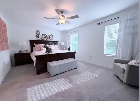 6047 Acara Lane Land O Lakes FL 34638