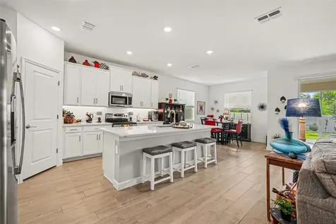 10892 Ibis Brook Court Land O Lakes FL 34638