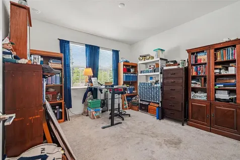 10892 Ibis Brook Court Land O Lakes FL 34638