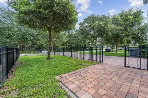 15587 Murcott Blossom Boulevard Winter Garden FL 34787