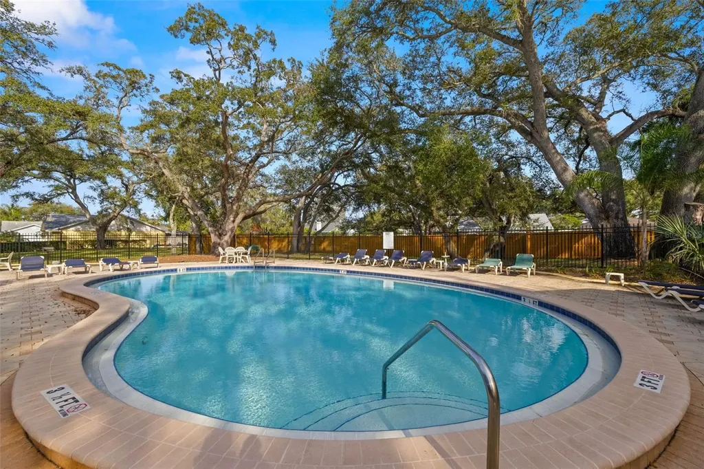 826 Franklin Circle Palm Harbor FL 34683