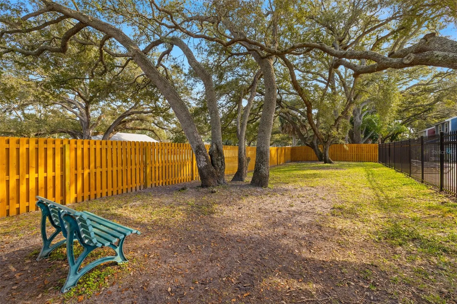 826 Franklin Circle Palm Harbor FL 34683